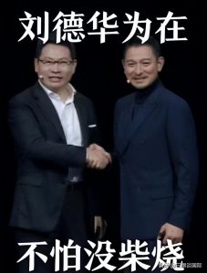 ​集体破防！刘德华代言华为 竟气疯媚外华人 怒骂华仔晚节不保