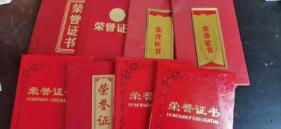 ​董玉梅：乡村女邮递员的情怀 （特约记者 赵光选）