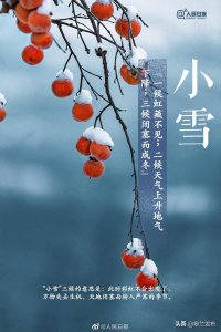 ​二十四节气| 小雪