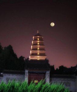 ​只缘感君一回顾