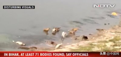 ​印度恒河流域现大量浮尸，疑似为新冠逝者的遗体，中央政府：禁止