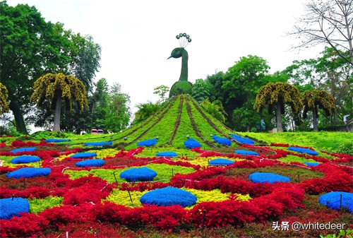东莞隐贤山庄  一个踏青赏花&游玩休闲的去处