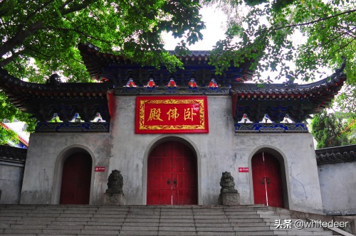 东莞隐贤山庄  一个踏青赏花&游玩休闲的去处