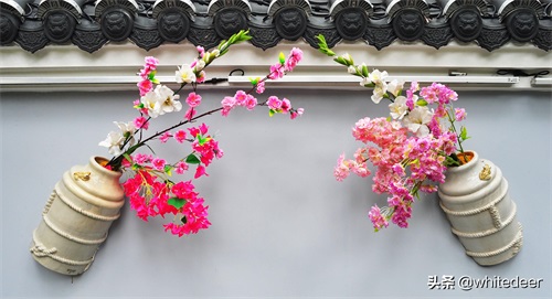 东莞隐贤山庄  一个踏青赏花&游玩休闲的去处