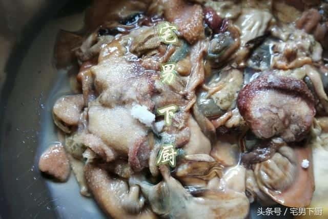 河蚌中间肉里面是什么(河蚌肉哪些不能吃图解)