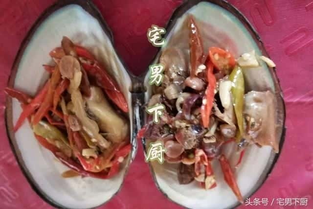 河蚌中间肉里面是什么(河蚌肉哪些不能吃图解)