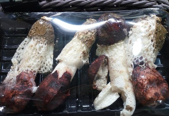 蘑菇种类大全及图片，菜市场菌类大汇总