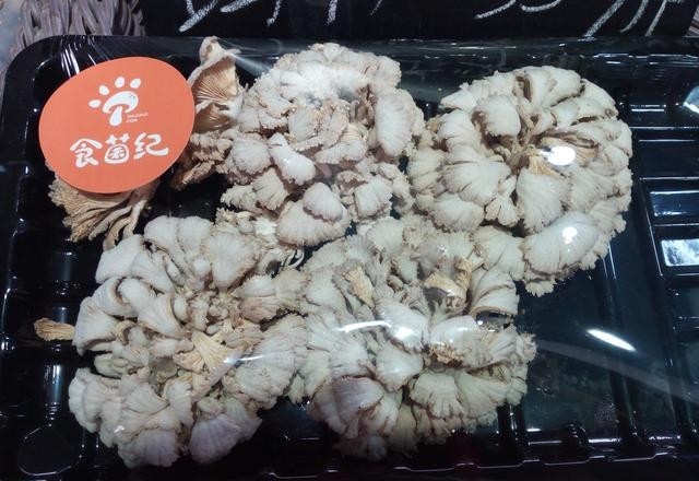 蘑菇种类大全及图片，菜市场菌类大汇总