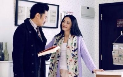​《离婚律师》董大海和苗锦秀:一场离婚典礼挽回了20年的婚姻