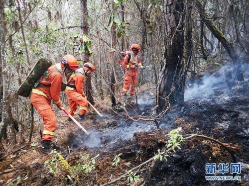 加拿大森林火灾新闻(森林火灾新闻稿)-第1张图片-