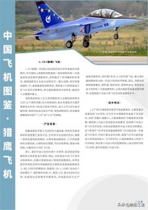 ​中国飞机图鉴 | L-15（猎鹰）：高级高机动性超声速教练机