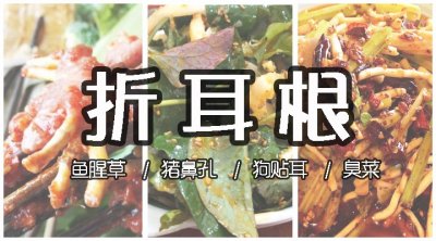 ​折耳根、鱼腥草、猪鼻孔……从野生药材变为人种种植的美味食材