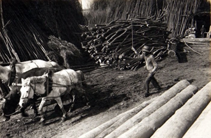 原来1933年的黑龙江富锦市是这个样子的