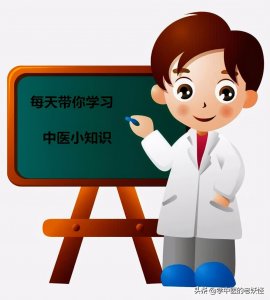 ​每日一中药——地骨皮