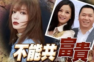 ​赵薇与黄有龙的风云往事