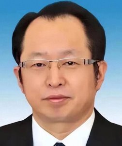 ​王一新的仕途沉浮:才华、权力与腐败的反思