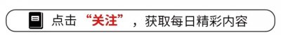 ​2025年游戏圈大乱斗！畅哥带你盘一盘最值得蹲的10款神作！