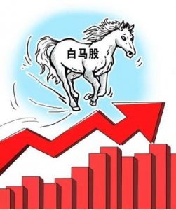 ​白马股是什么，有什么特点