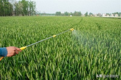 ​噻呋酰胺：第4代杀菌剂代表，从“根”上治病，能“火”起来吗？