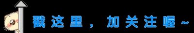 ​最新！河北1市任命代市长