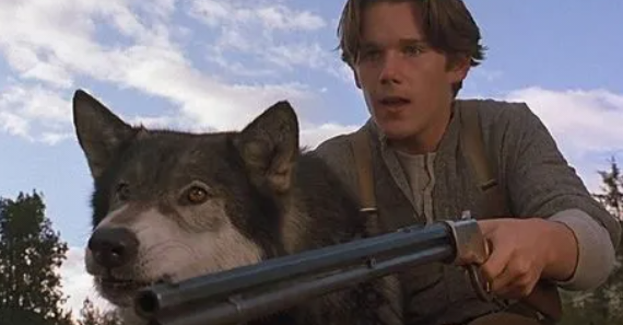 狗狗主题的电影推荐（十部值得看的狗狗电影）(3)_