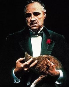 ​教父这个电影讲的是什么