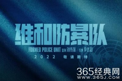 ​电影《维和防暴队》剧情介绍_电影《维和防暴队》讲述了什么故事