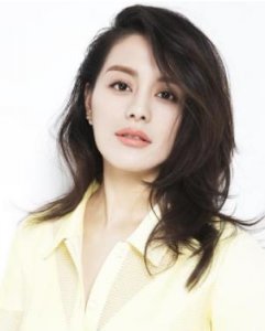 ​王力可个人资料简介 主演的电视剧大全