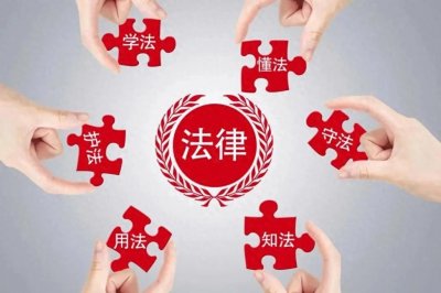​法律分析：什么是法律?