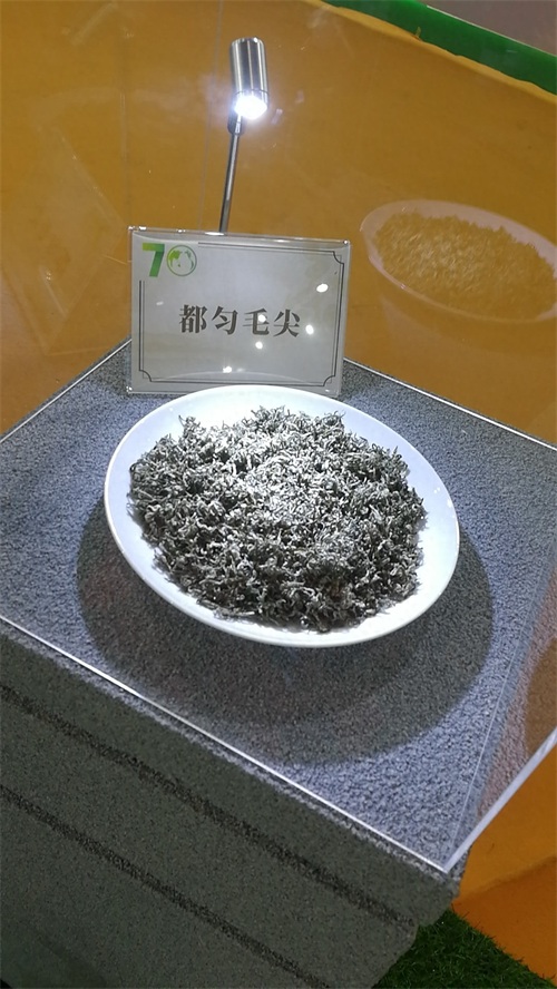这十大名茶,你是否都喝过?