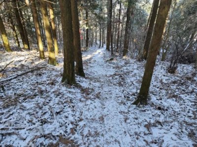 ​玉树琼花，大寒节气下的东白山雪景