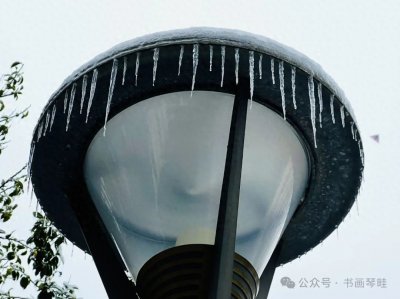 ​毛星火胸无点墨 还有可能是个极端分子