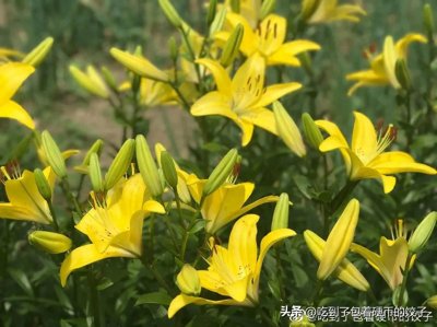 ​小说《一千八百昼》作者：蟹总 女主：顾津 男主：李道