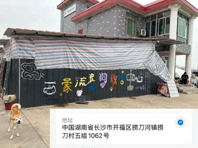 ​长沙一家流浪狗收容中心