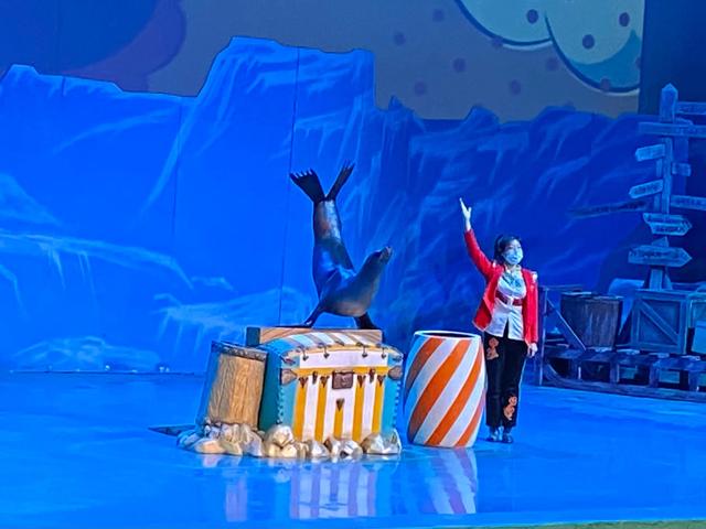 大连发现王国游玩攻略（大连圣亚海洋世界）(7)