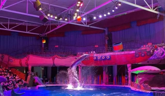 大连发现王国游玩攻略（大连圣亚海洋世界）(4)