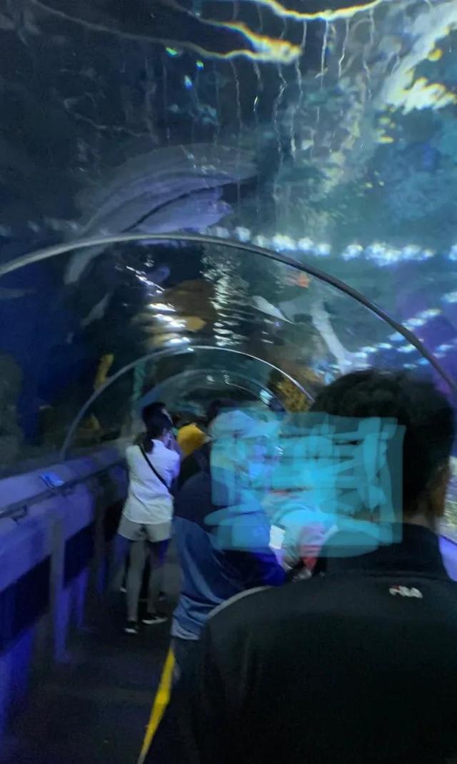 大连发现王国游玩攻略（大连圣亚海洋世界）(3)