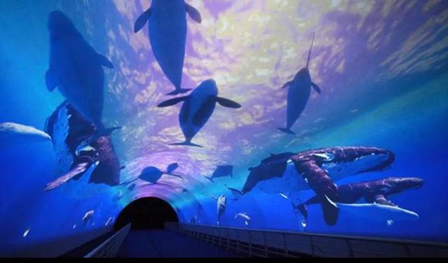大连发现王国游玩攻略（大连圣亚海洋世界）(1)