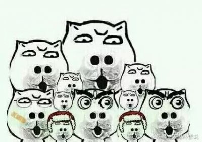 ​狗能吃巧克力吗？