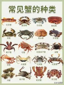 ​常见螃蟹的种类及名称