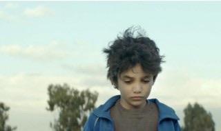 网络图片(侵删)