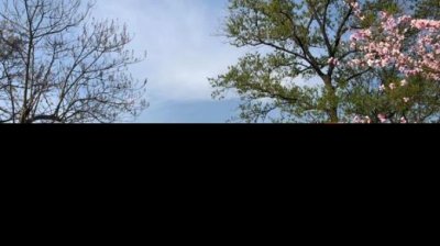 ​五行属水的行业生意有哪些 五行中与水有关的行业