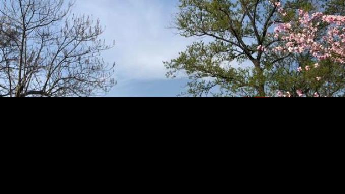 b09298002d92d1b7796675955d201539.png image.png