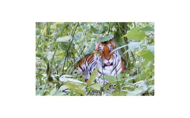 天蝎座男生最喜欢的“称呼”出炉，有没有你的份？