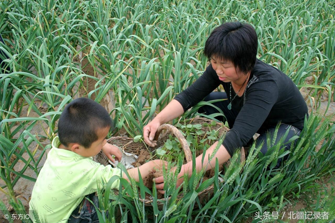12图带您看农村80后多姿多彩的少年生活，青春不再却有满满的回忆