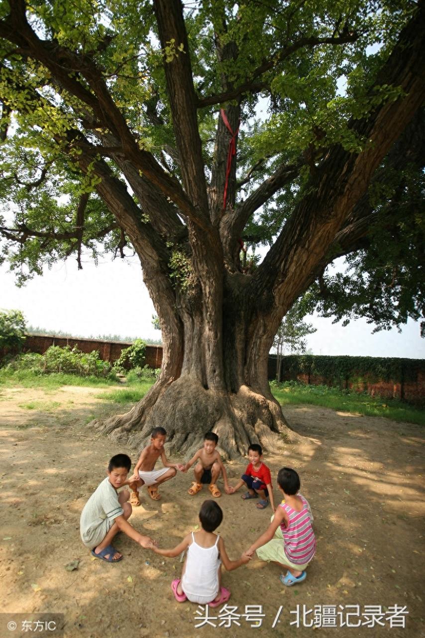 12图带您看农村80后多姿多彩的少年生活，青春不再却有满满的回忆