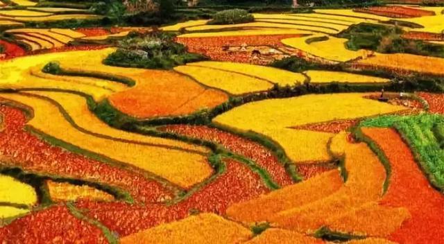 老外评出中国最美35大美景，我去过30个，你有几个没去过