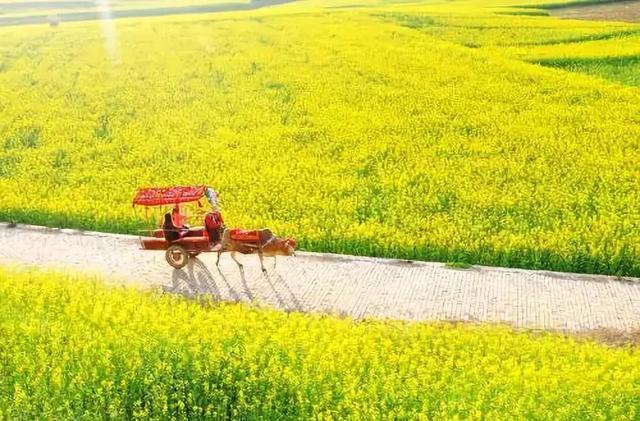 老外评出中国最美35大美景，我去过30个，你有几个没去过