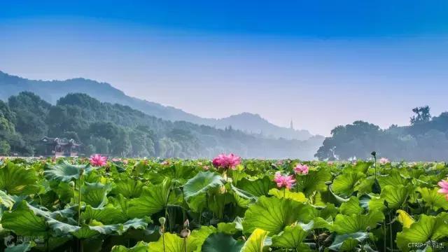 老外评出中国最美35大美景，我去过30个，你有几个没去过