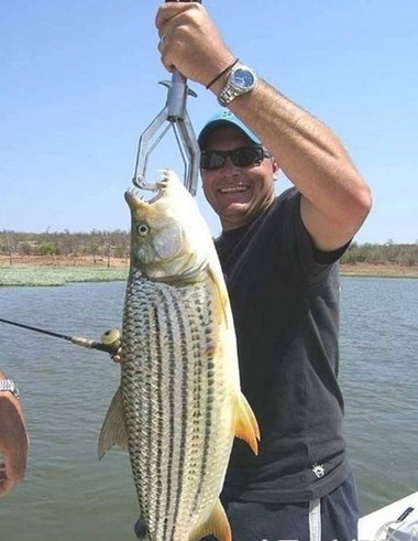 重庆截获6条长相怪异牙齿锋利的冰冻鱼,价格竟上百万